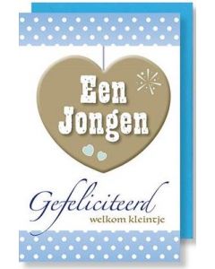 6 Wenskaarten met envelop - Gefeliciteerd een jongen (11x17)