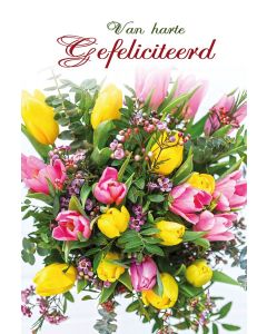6 Wenskaarten met envelop - van harte Gefeliciteerd