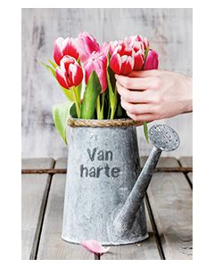 6 Wenskaarten met envelop - Gefeliciteerd Bloemen