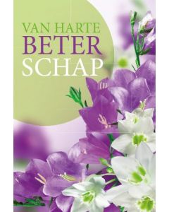 6 Wenskaarten met envelop - Van harte beterschap (11.5x17)