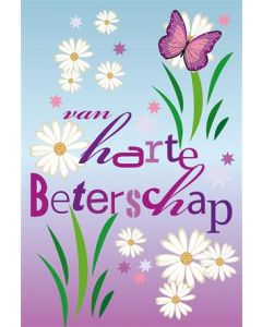 6 Wenskaarten met envelop - Beterschap (12x17.5 cm)
