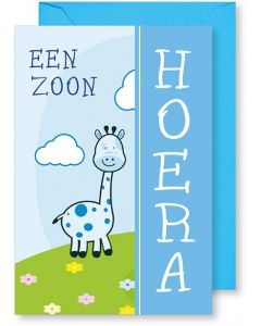 6 Wenskaarten met envelop - Geboorte zoon (12x17.5 cm)