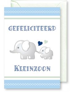6 Wenskaarten met envelop - Geboorte kleinzoon (12x17.5 cm)