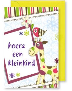 6 Wenskaarten met envelop - Geboorte kleinkind (12x17.5 cm)