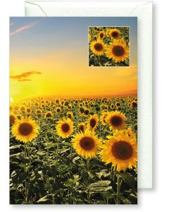 6 Wenskaarten met envelop - Bloemen zonder tekst