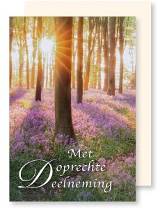 6 Wenskaarten met envelop - Deelneming (12x17.5 cm)