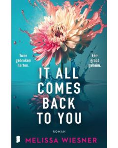 !! It All Comes Back To You - Melissa Wiesner