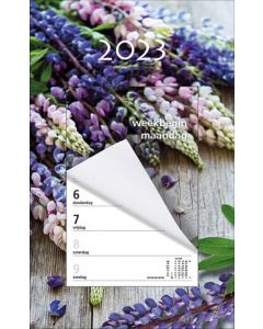 Week Scheurkalender 2023 (week begint op Maandag)