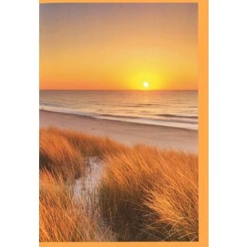 6 Wenskaarten met envelop - Duinen zonder tekst