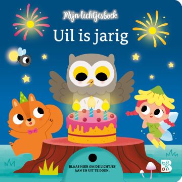 Mijn lichtjesboek - Uil is jarig