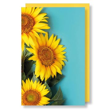 6 Wenskaarten met envelop - bloemen zonder tekst 