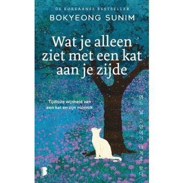 !! Wat je alleen ziet met een kat aan je zijde - Bokyeong Sunim
